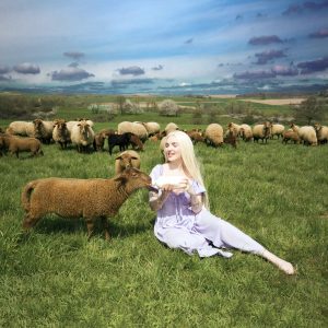 Mia Morgan, Sängerin, Album, Fleisch, Blogprojekt, Mein Beitrag, Pop, Musik
